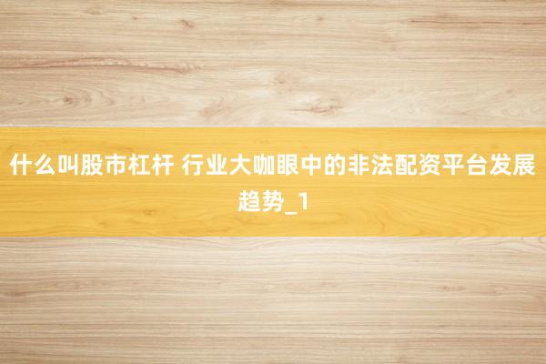 什么叫股市杠杆 行业大咖眼中的非法配资平台发展趋势_1